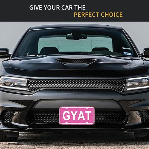 Miniatura 3 de GYAT SEXUAL - Placa de metal para bar, cafetería, garaje, cueva, habitación, pared, baño, granja, jardín, porche, decoración de patio, 12 x 6