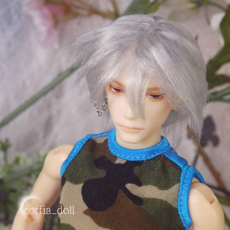 六分の一男子図鑑　カスタムヘッド＊ボディ付き Amazon.co.jp: coffia1/6 六分の一男子図鑑 ナイン カスタム