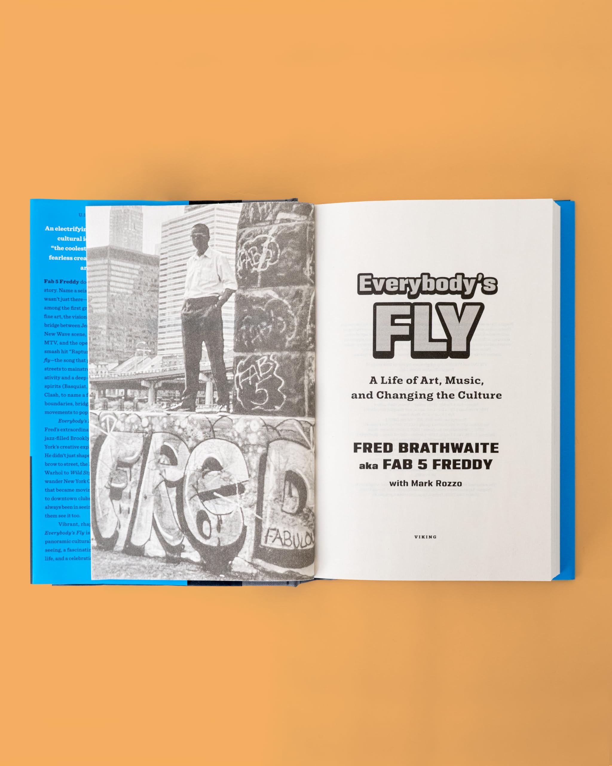 Everybody's Fly /anglais