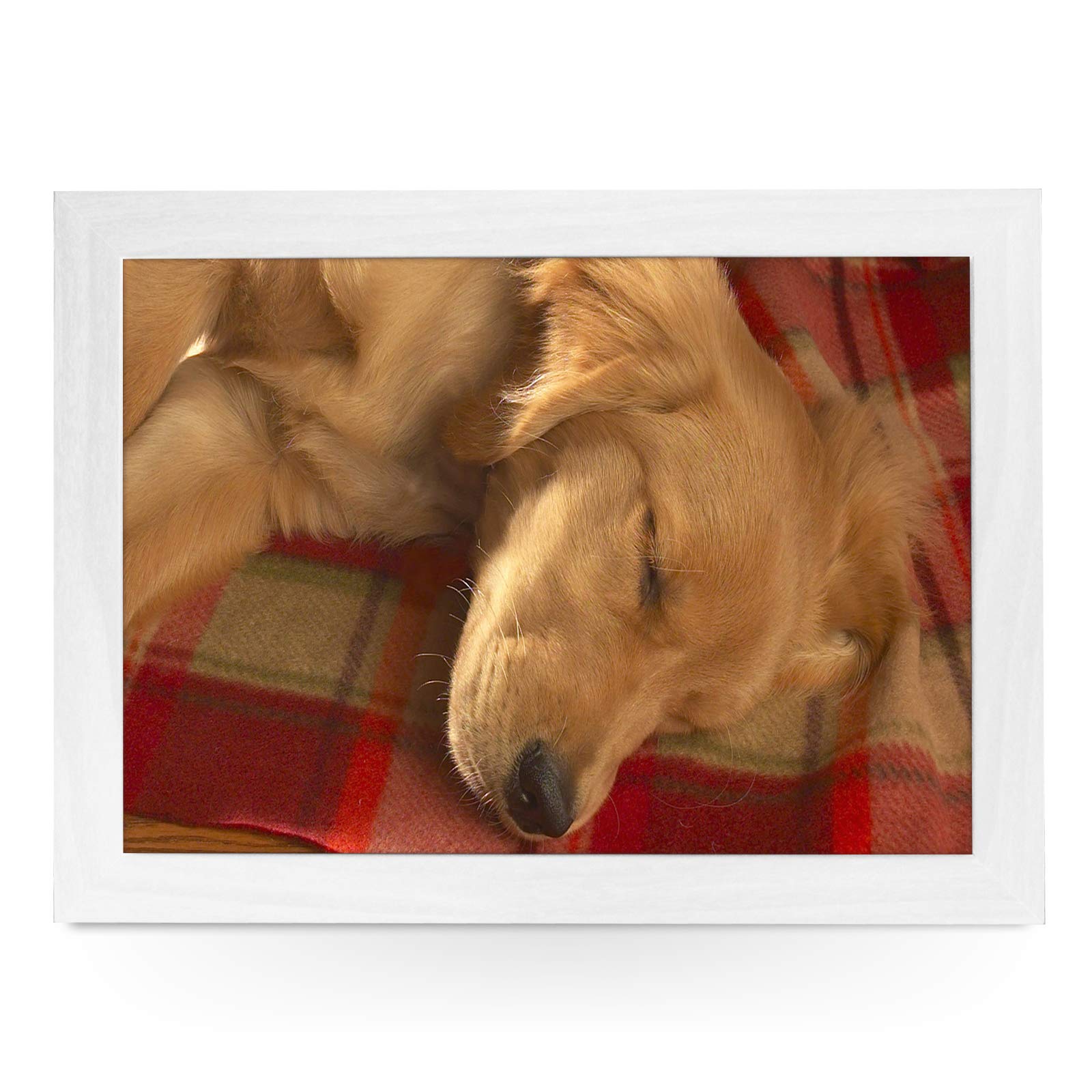yoosh Portable Lap Desk Tray (Sleeping Golden Retriever Dog) Handmade Wooden Frame, Beanbag Cushioned Bottom | Computers, Laptops, Meals, Food | L0041 White