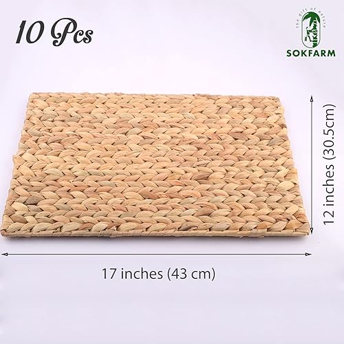 Miniatura 2 de SOKFARM Juego de 10 manteles individuales rectangulares para mesa de comedor, manteles individuales de mimbre de jacinto de agua, juego de 10