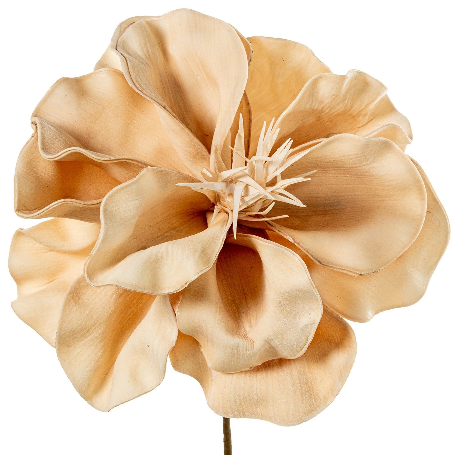 Fleurs artificielles en mousse EVA beige DRW de 23x23x60 cm pour vase
