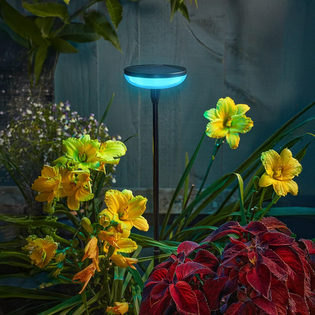 Festive Lights - 77cm Solar Power Colour Changing Dome Stake Light - 8 Multicolour LEDs, Two Height Options, IP44 Rated, Rechargeable Battery, Auto Dusk Sensor - Garden Pathway Border Lawn Yard Decor