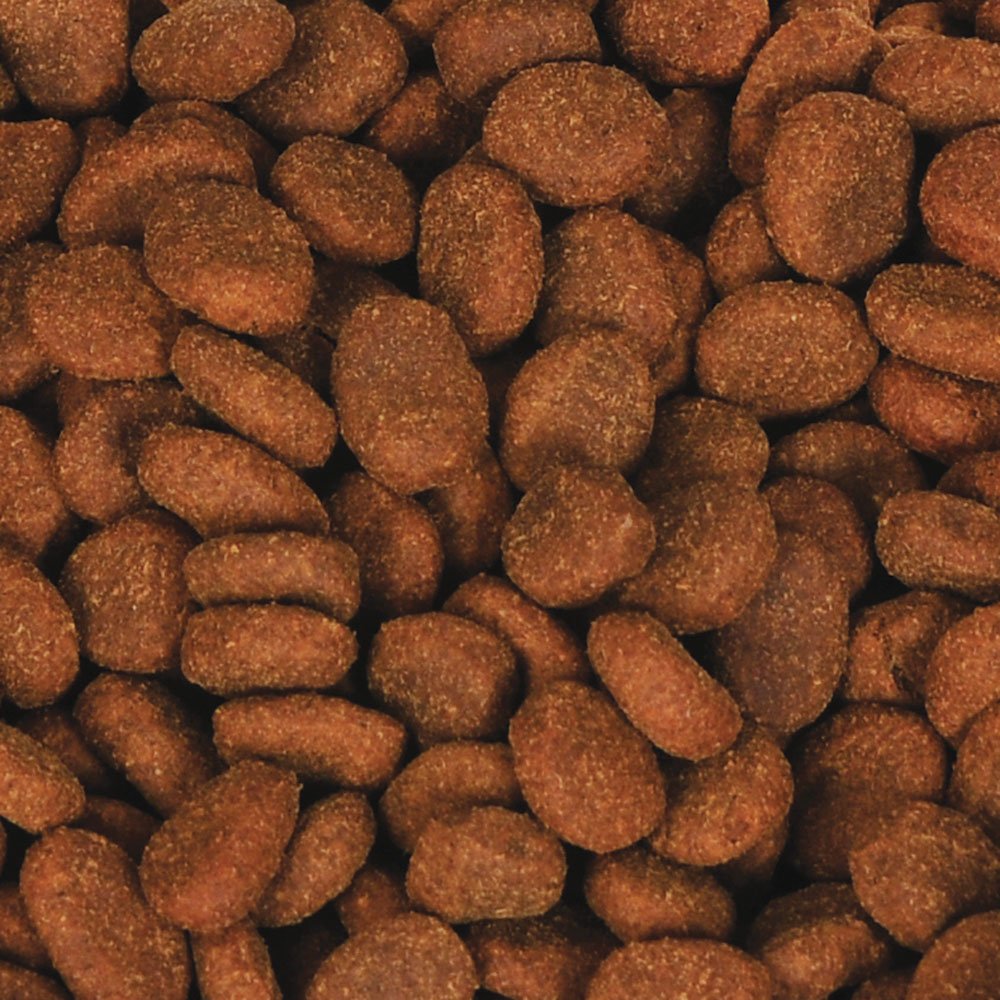 Orijen Adult Dog Food - Orijen Adult Dog Food 15 lb by Orijen