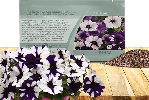 Outsidepride Petunia Shock Wave - Flores de jardín de teñido anudado morado para cestas colgantes, macetas, contenedores, camas, 30 semillas