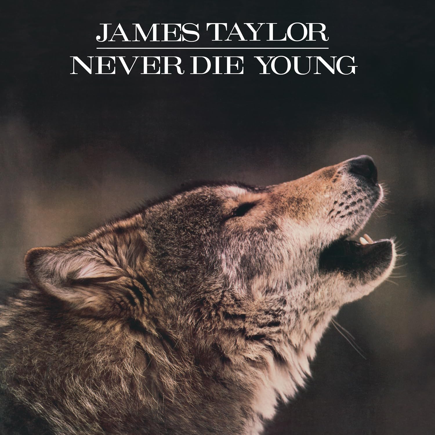 Vinyl: James Taylor