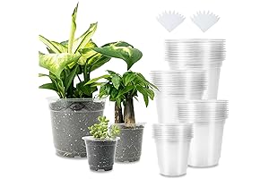 Bulk Pack of 40 Premium Clear Nursery Pots for Plant Growth and Propagation