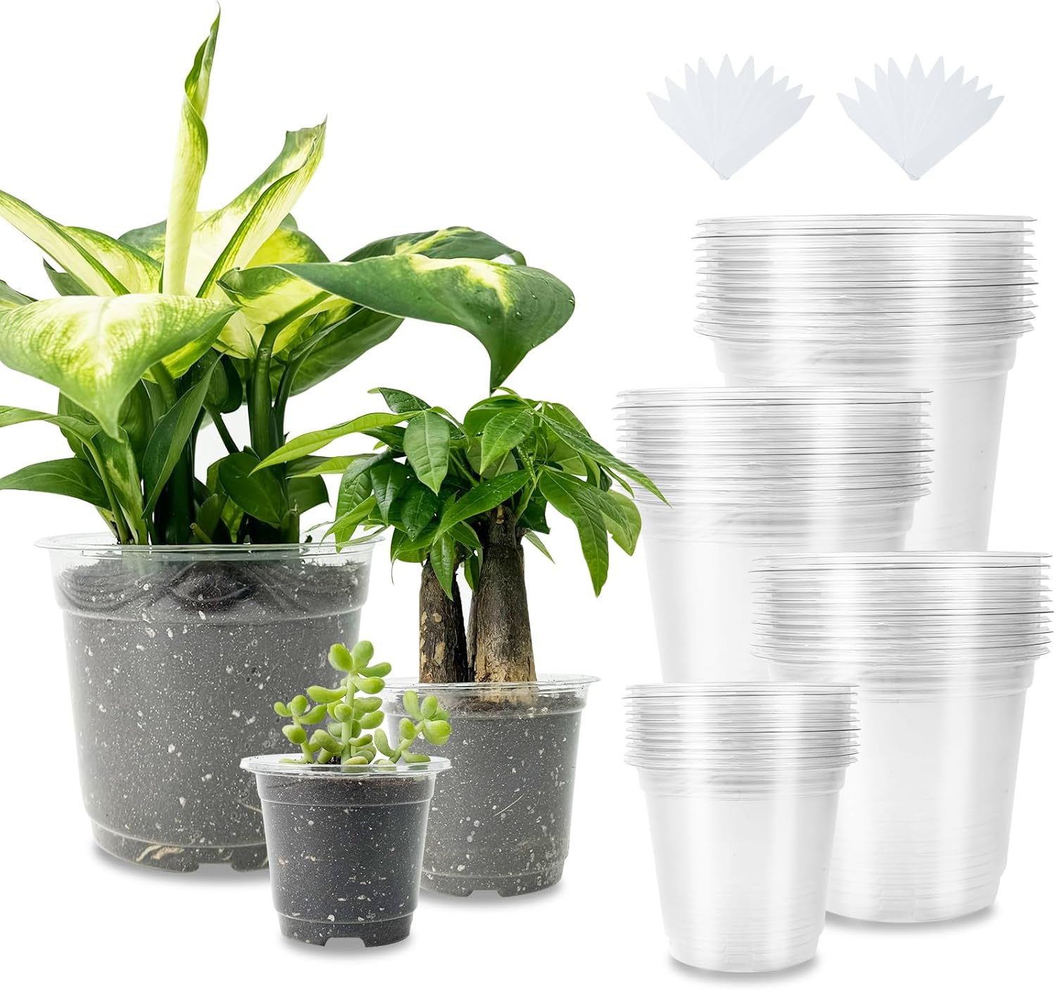 40 Packs 3.5/4/5/6 Inch Clear Nursery Pots for Plants,Seedling Pots with Drainage Holes, Transparent Plastic Planter Variety Pack Seedling Planter Seed Starter Flower Plant Container with 20 Labels