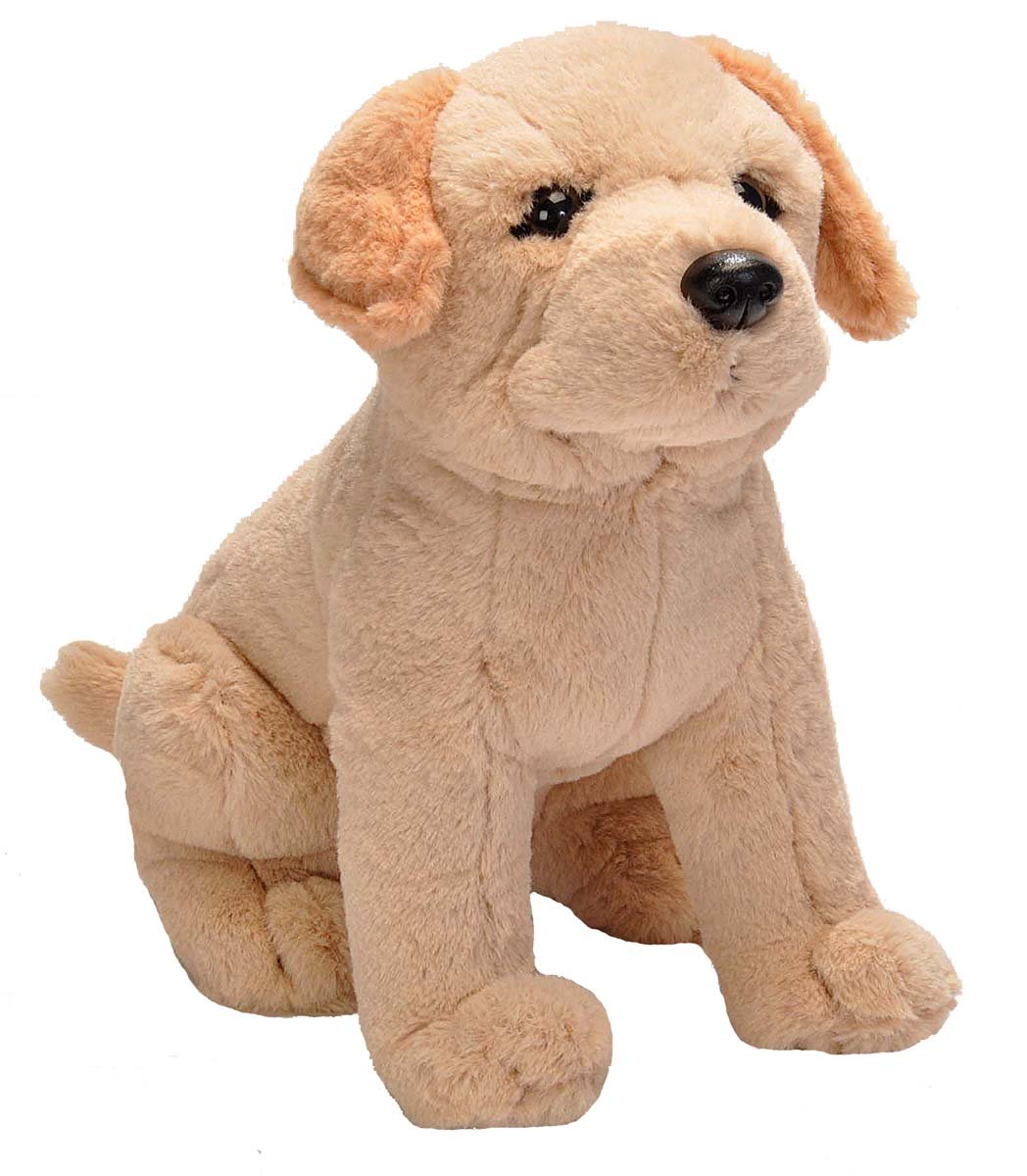See full amazon price history chart for Wild Republic Animal Labrador (12 Inches, Multicolor) Wild Republic Animal Labrador (12 Inches, Multicolor) (B01L2S6IRC) Amazon Price History, Amazon Price Tracker