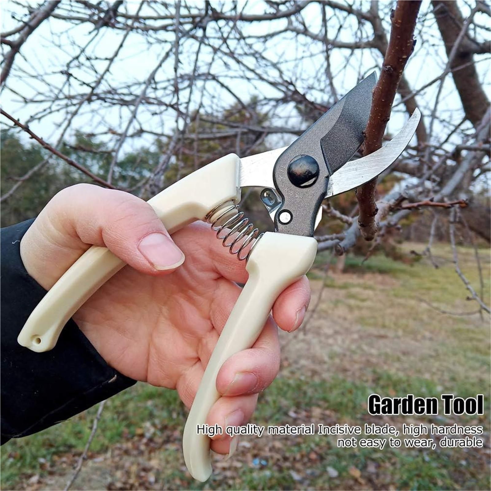 Baumschere， Gartenschere, Gartenschere, Gartenschere, Gartenschere, Gartenschere, Astschere, Trimmer, Werkzeuge, Obstbaum