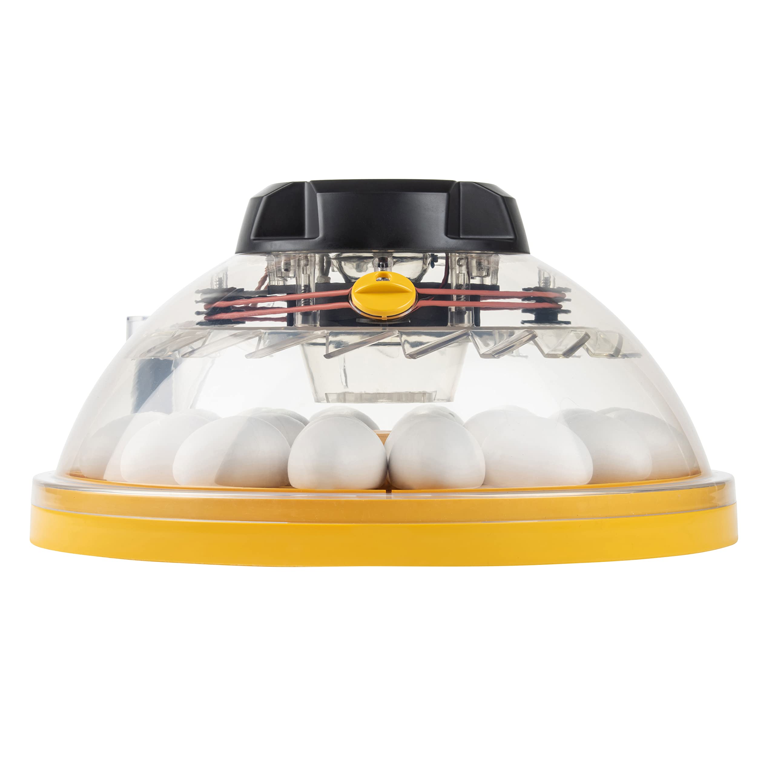 FINCA CASAREJO Incubadora BRINSEA Maxi 24 EX - Incubadora para 24 Huevos de gallina - Apta para Diferentes Especies o tamaños de Huevos - Fabricación Europea