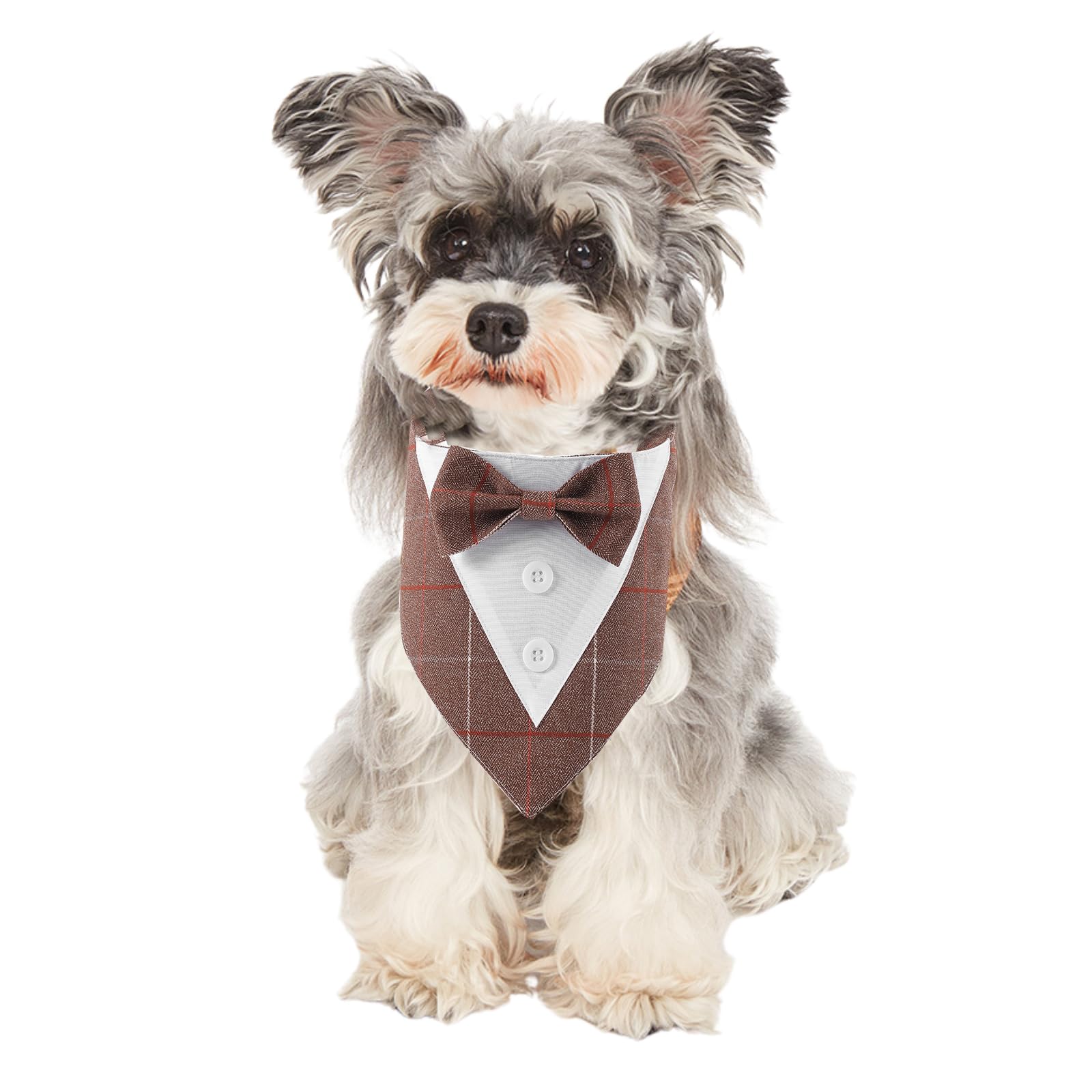 BT Bear Pet Tuxedo Collar Bandana,Wedding Outfit,Bow Tie for Cats Puppy Small Dogs Outfit for Party,Birthday,Festival,Brown_XS