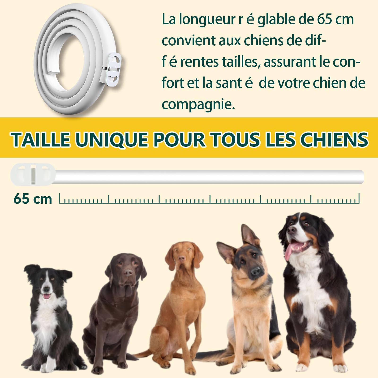 2pack Collier Anti Puces pour Chien, 12 Mois De Protection Efficace, Collier Anti Tique Chien 65cm, Réglable Et Étanche, Convient Aux Chiens De Toutes Tailles (65cm*2)