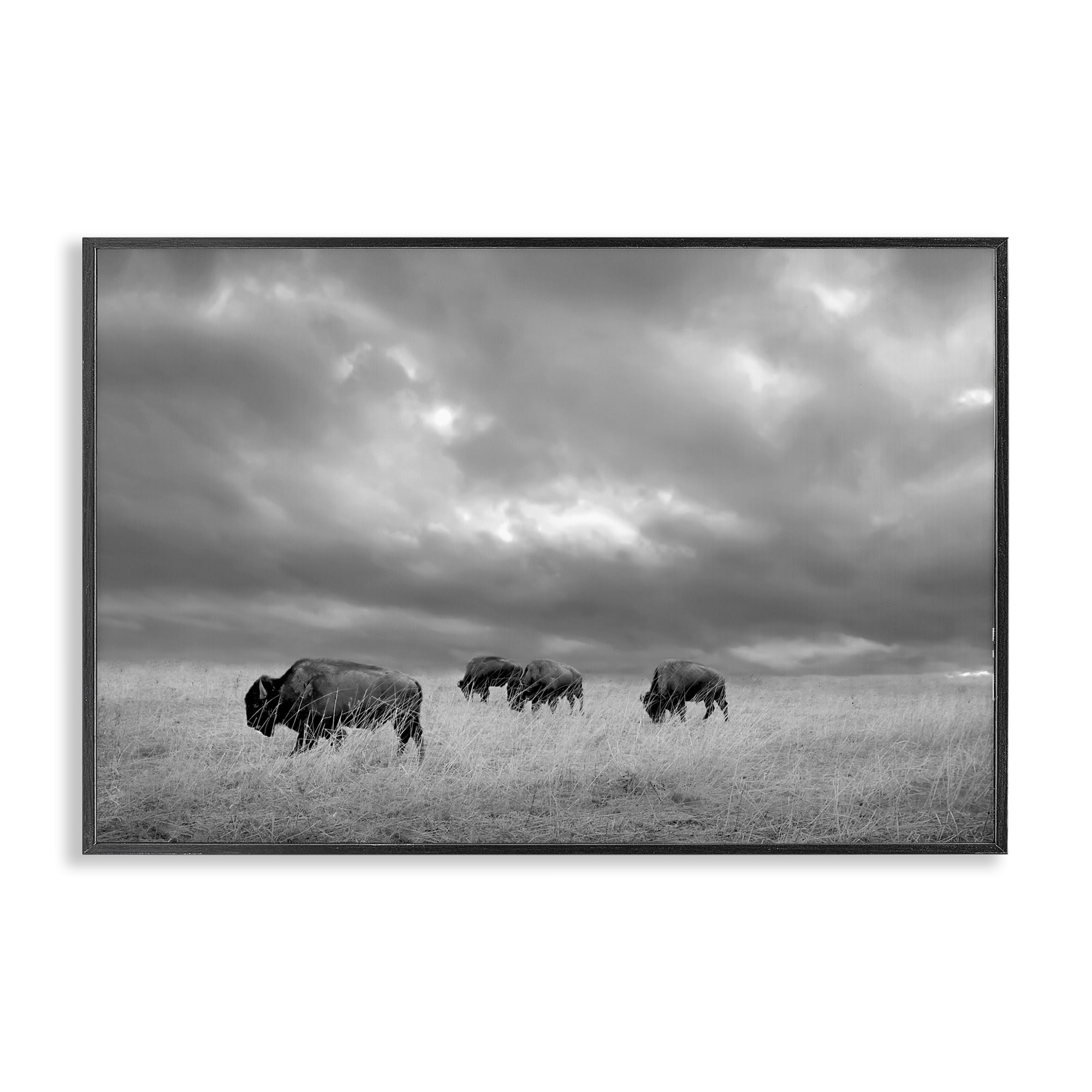 Stupell Industries Midnight Black (Textured) 'Bisons Under An Autumn Sky'| Framed Giclee Art