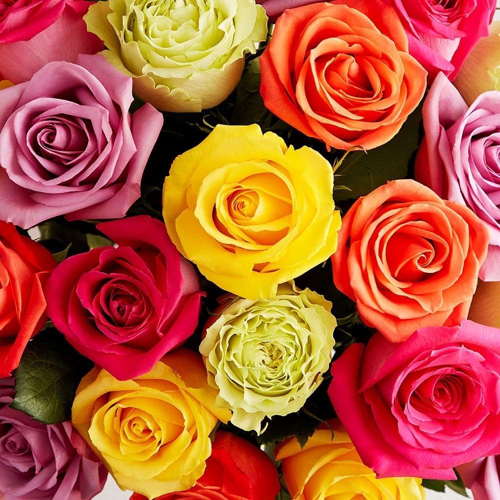 1800 Flowers – 48 Stem Assorted Roses (Bouquet Only) | Bulk Fresh Cut Flowers for Delivery | Ideal for Mother's Day Gatherings, DIY, Decor, Centerpieces, Weddings & Parties