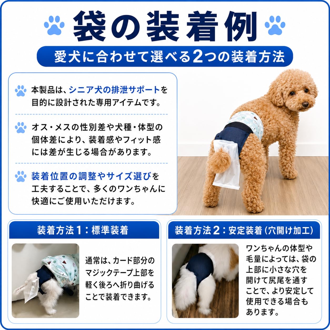 Amazon | 【うんぽキャッチャー】犬用うんちキャッチパンツ 食糞防止