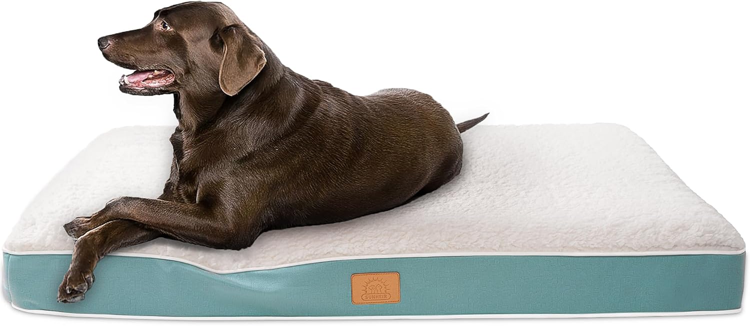 Sunheir Medium Dog Bed for Medium Dogs, Orthopedic Dog Bed