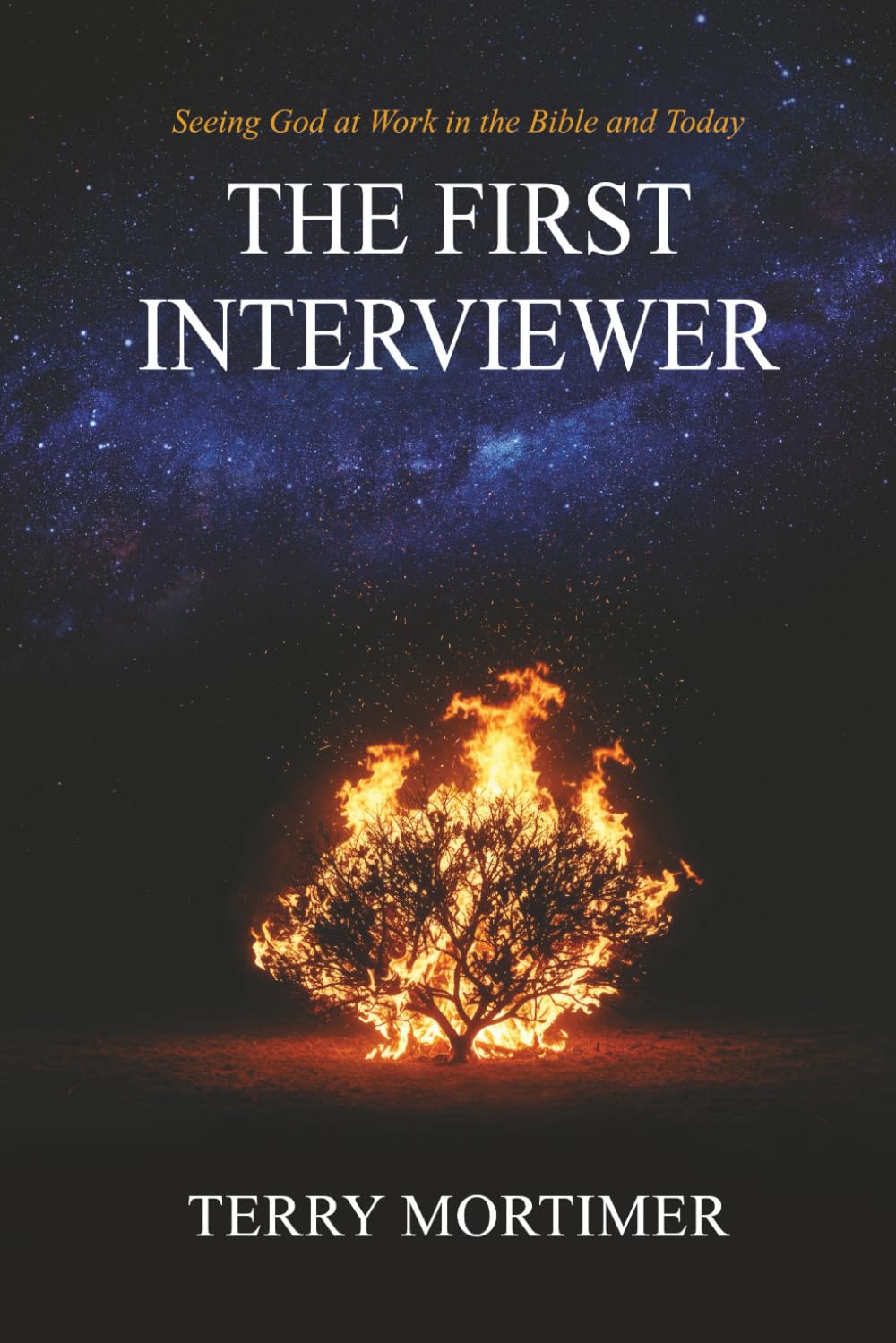 The First Interviewer: Seeing God at Work in the Bible and Today