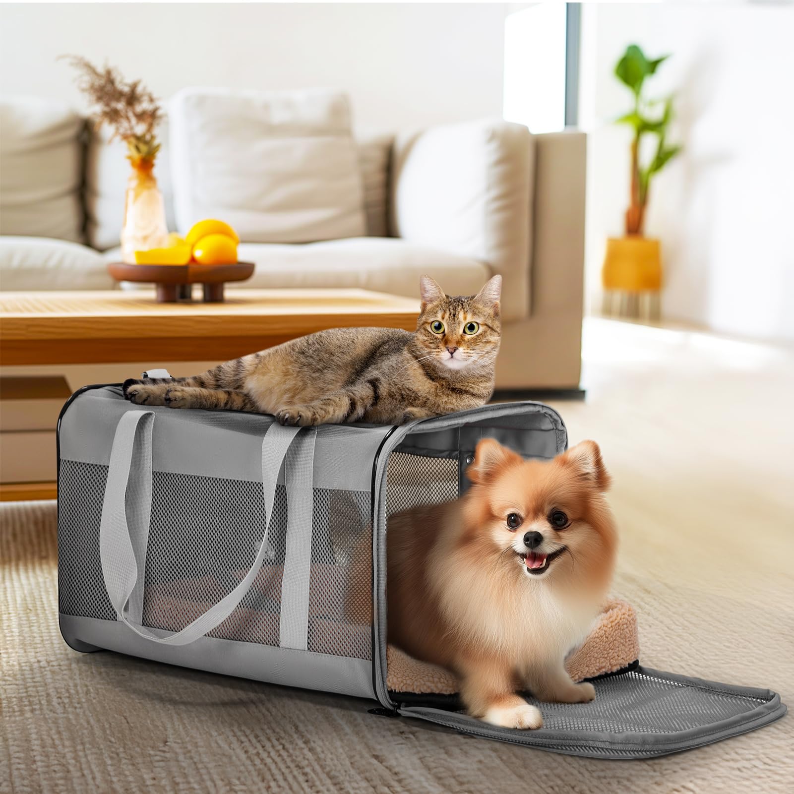 Petsfit Transportín Perro Gato Coche Plegable, Bolso Transportin para Mediano con Hombro Ajustable y Suave Acolchado, Trasportines Gato Perro 48,5x31x31 cm, Gris