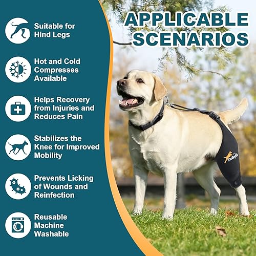 Miniatura 25 de Rodillera para perro para pierna trasera desgarrada del ligamento cruzado anterior, soporte para luxación de rótula u osteoartritis, lesiones