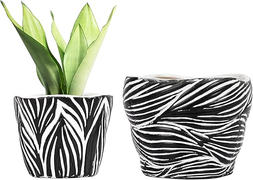 Maceta de cerámica para plantas de interior con orificio de drenaje, maceta de 6 pulgadas + 5 pulgadas para suculentas