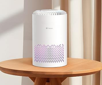 PURMED Pure Compact Air Purifier, Aromatherapy, Replacement Hepa Filter Gift