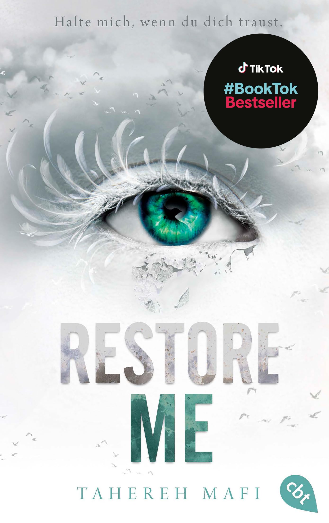 Restore Me: Die Fortsetzung der mitreißenden Romantasy-Reihe. TikTok made me buy it