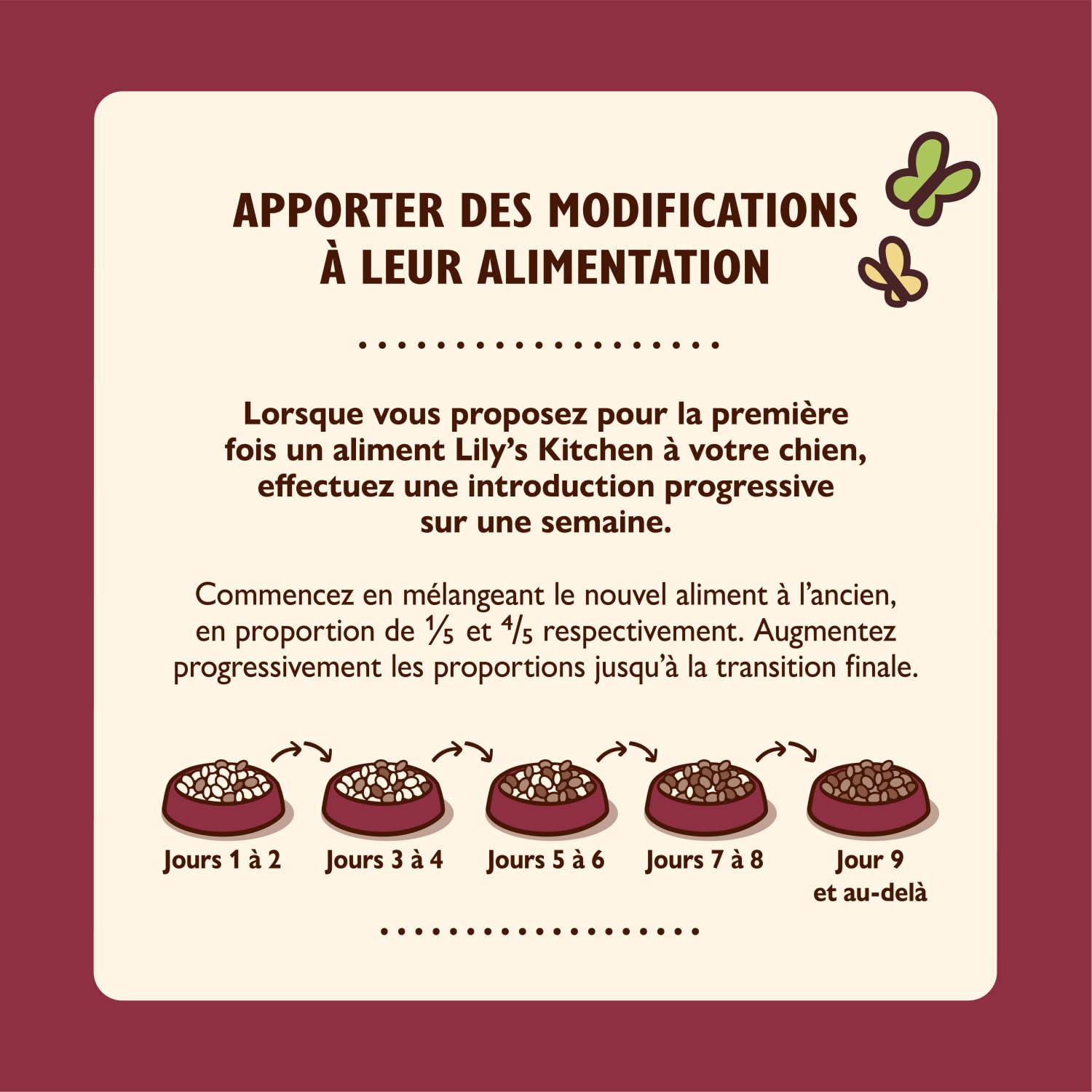 Lily’s Kitchen Fabriqué à partir d’ingrédients naturels Boîte d’Aliments humides pour Chiens Adulte au Chevreuil, au Faisan et au Saumon 6 x 400g