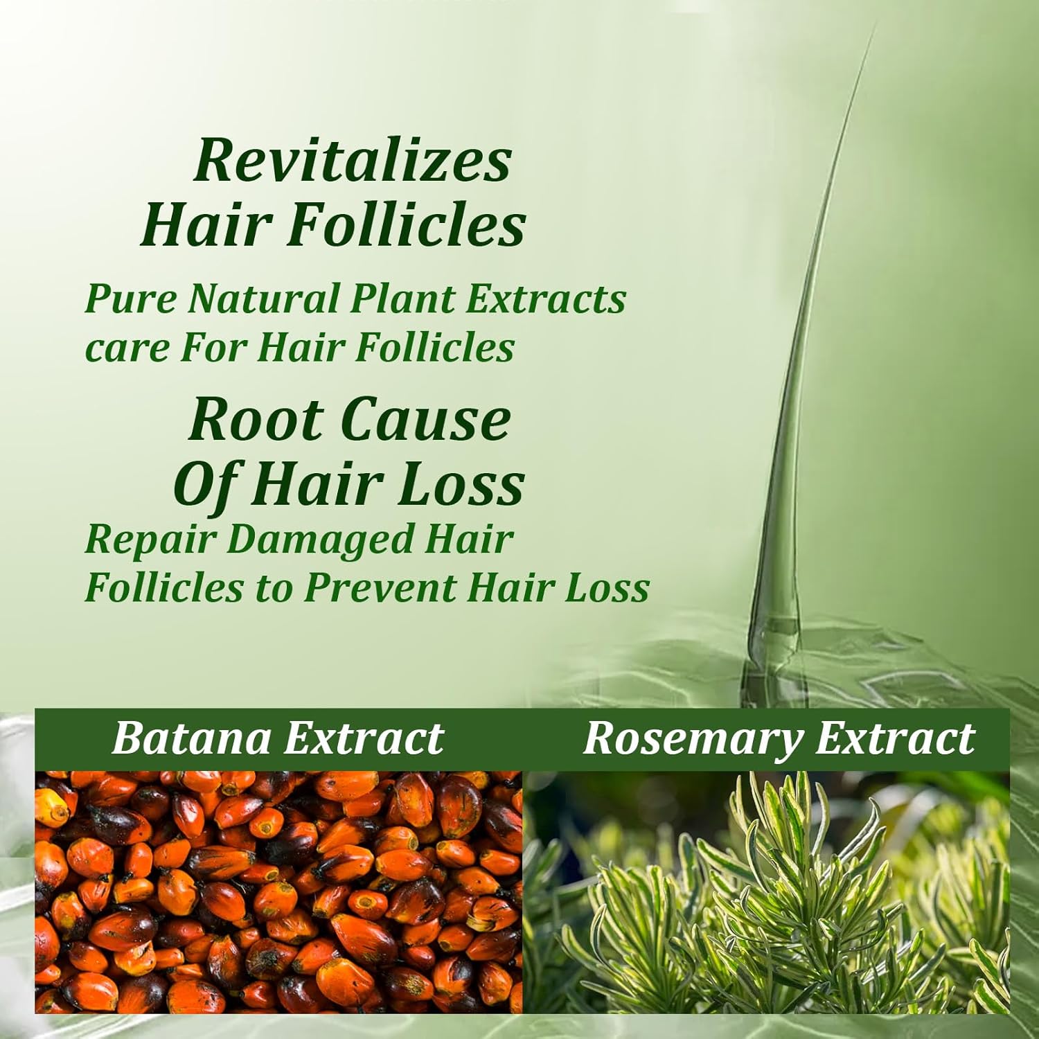 AMUA Tiglowa Organic Rosemary Hair Growth Shampoo, Batana Oil Shampoo,Nourishing & Rejuvenating for Softness & Volume, Suitable for Men & Women, Reduces Hair Loss - Image 6