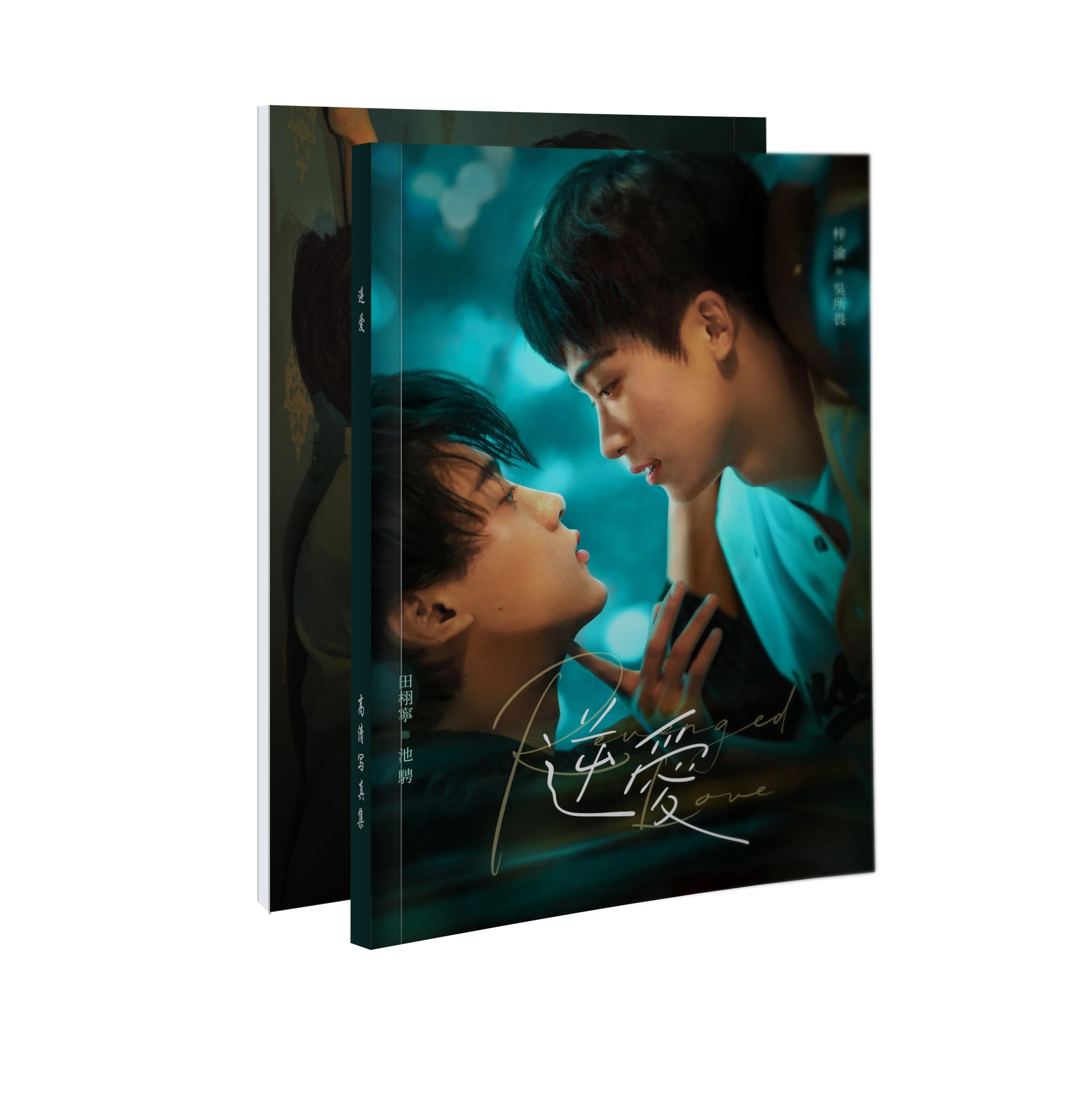 Amazon.co.jp: 月見竹取 逆愛 Revenged Love series 写真集 逆襲 ズー