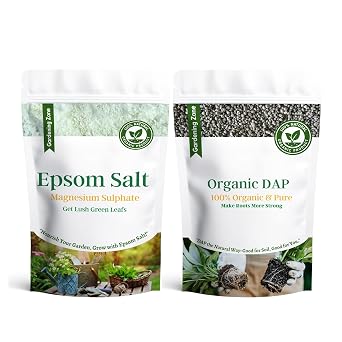 Gardening Zone Organic Fertilizer Combo – 180 Gram Epsom Salt + 180 Gram Organic DAP for Home Gardening Boosts Plant Growth Ideal for Flowers, Vegetables & Indoor Plants