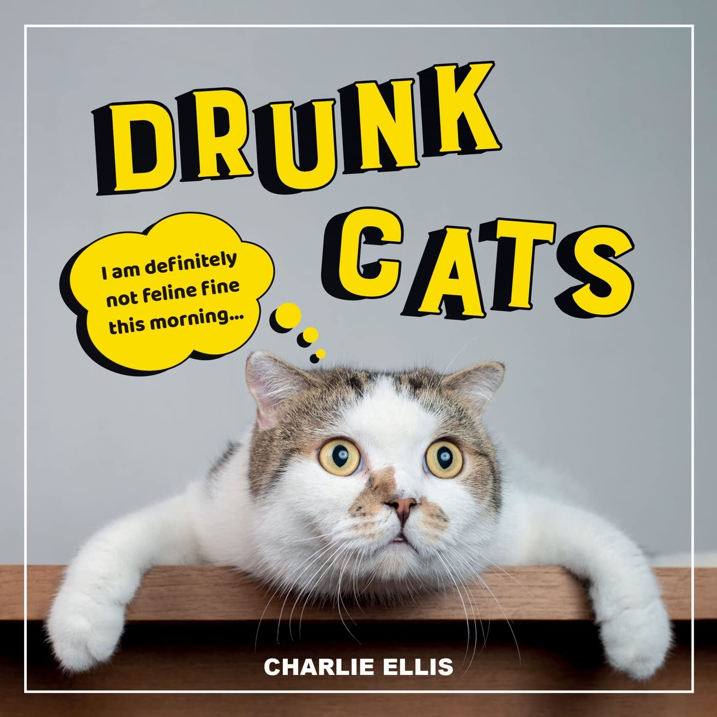 Drunk Cats : Hilarious Snaps of Wasted Cats by Charlie Ellis (2021, Hardcover)