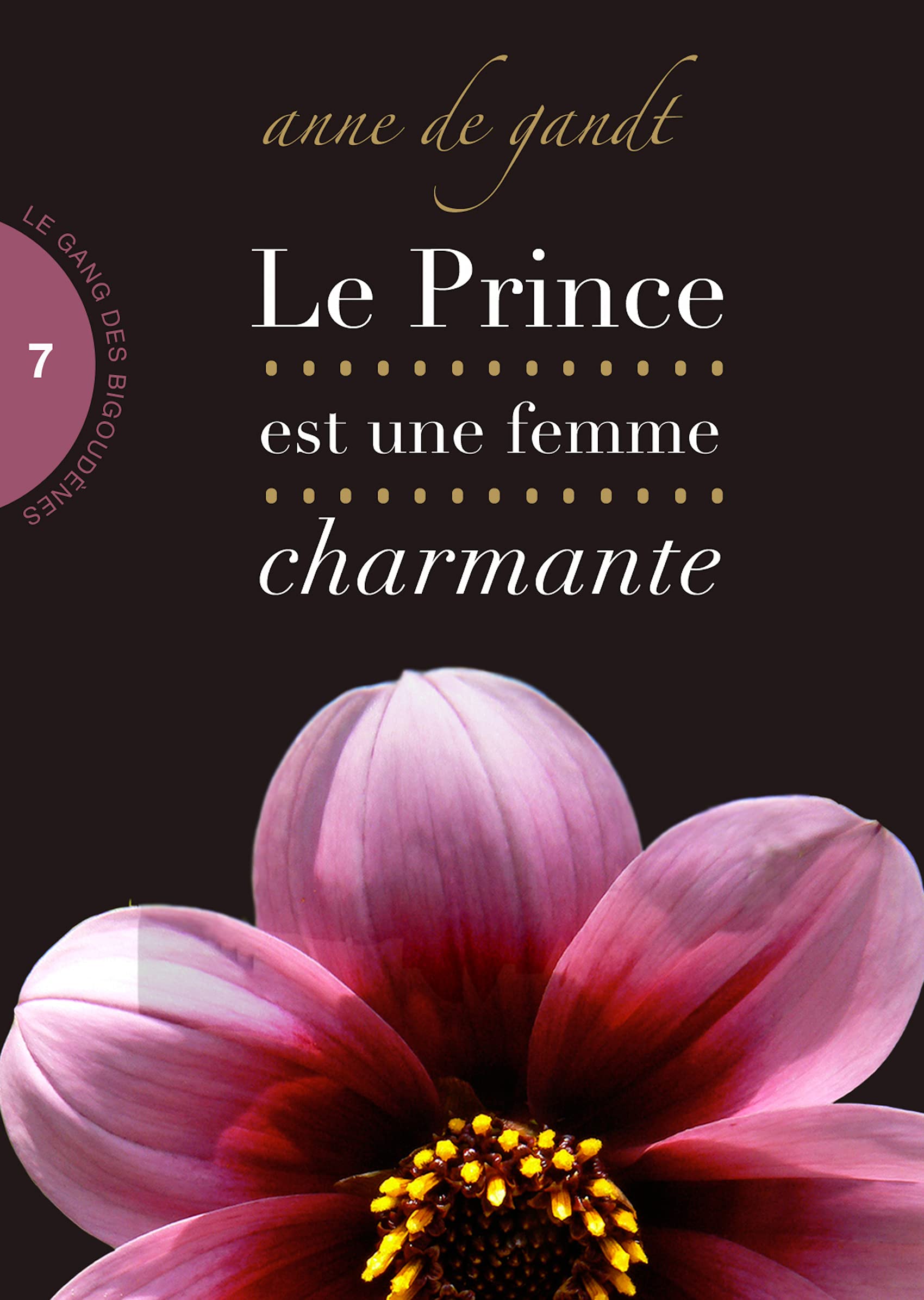 Le Prince est une femme charmante (Saison 7) (Le gang des bigoudènes) (French Edition)