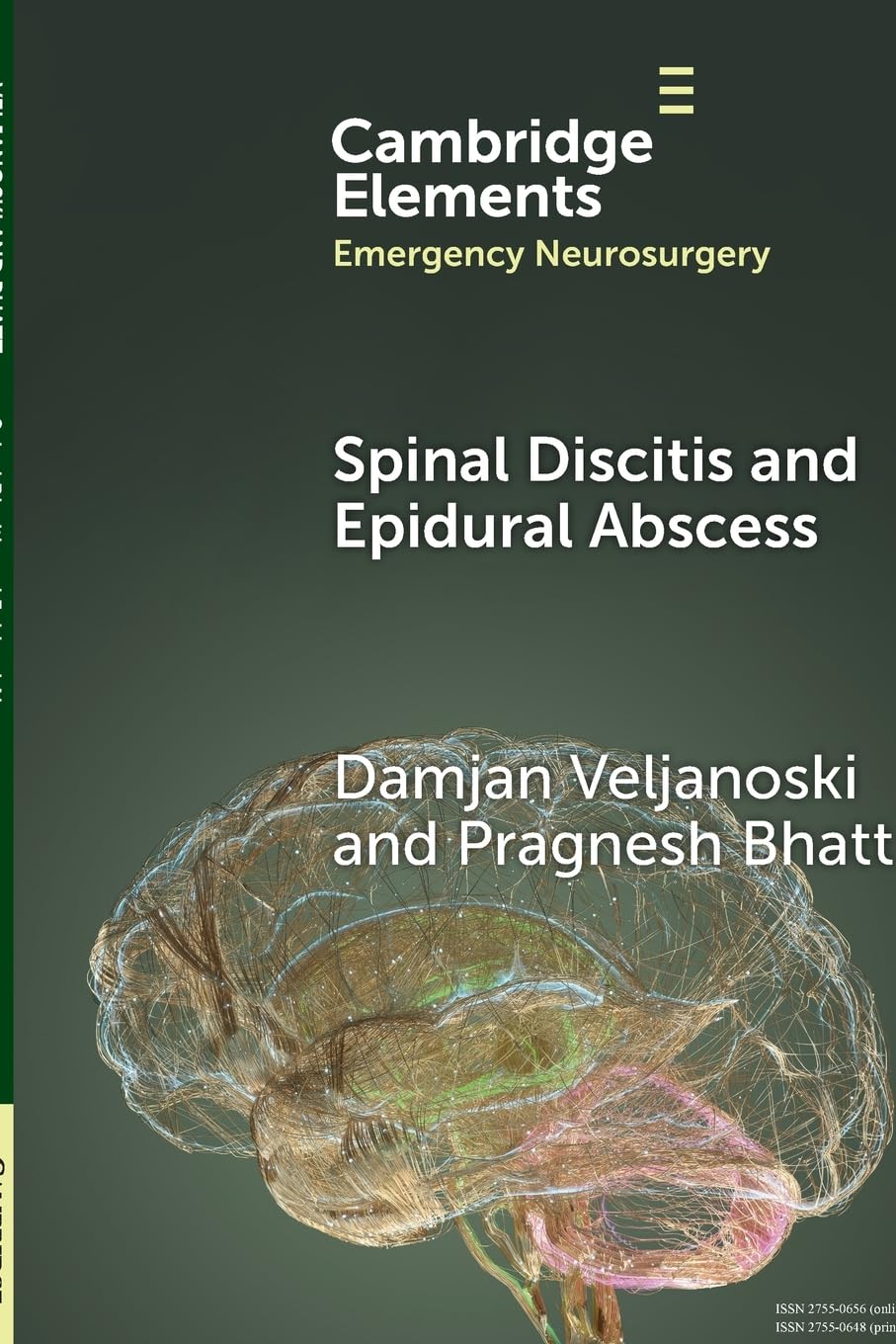 Spinal Discitis and Epidural Abscess (Elements in Emergency Neurosurgery)