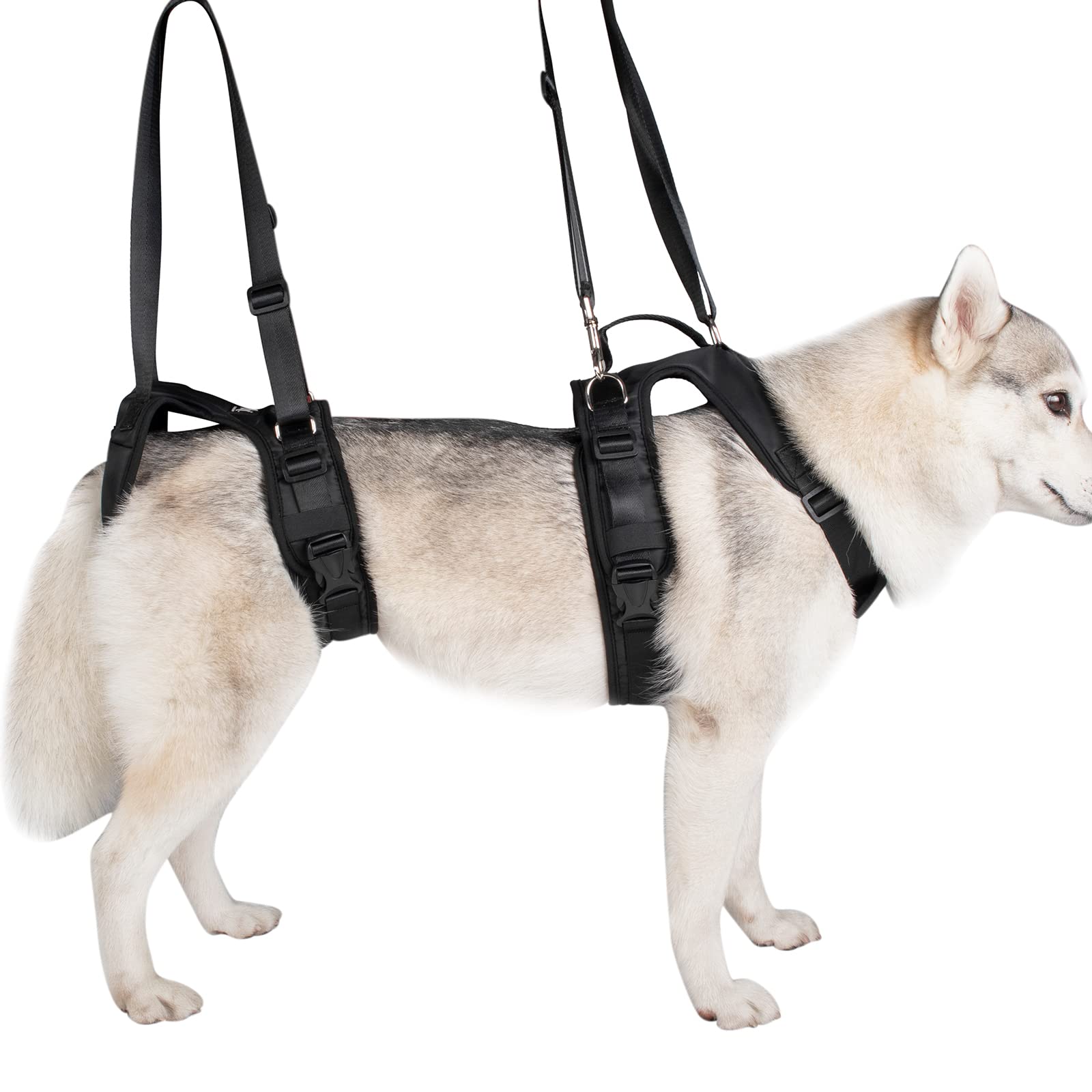 MeiAOBest Dog Lifting Harness,Pet Postoperative Walking Training Lift Strap,Dog Legs Portable Recovery Support Strap for Elderly Injured Amputation Disabled Dogs_M(Black)