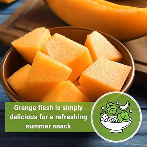 Miniatura 5 de Sow Right Seeds - Las mejores semillas de melón de Hale para plantar - Paquete de reliquia sin OMG con instrucciones para plantar un huerto casero -