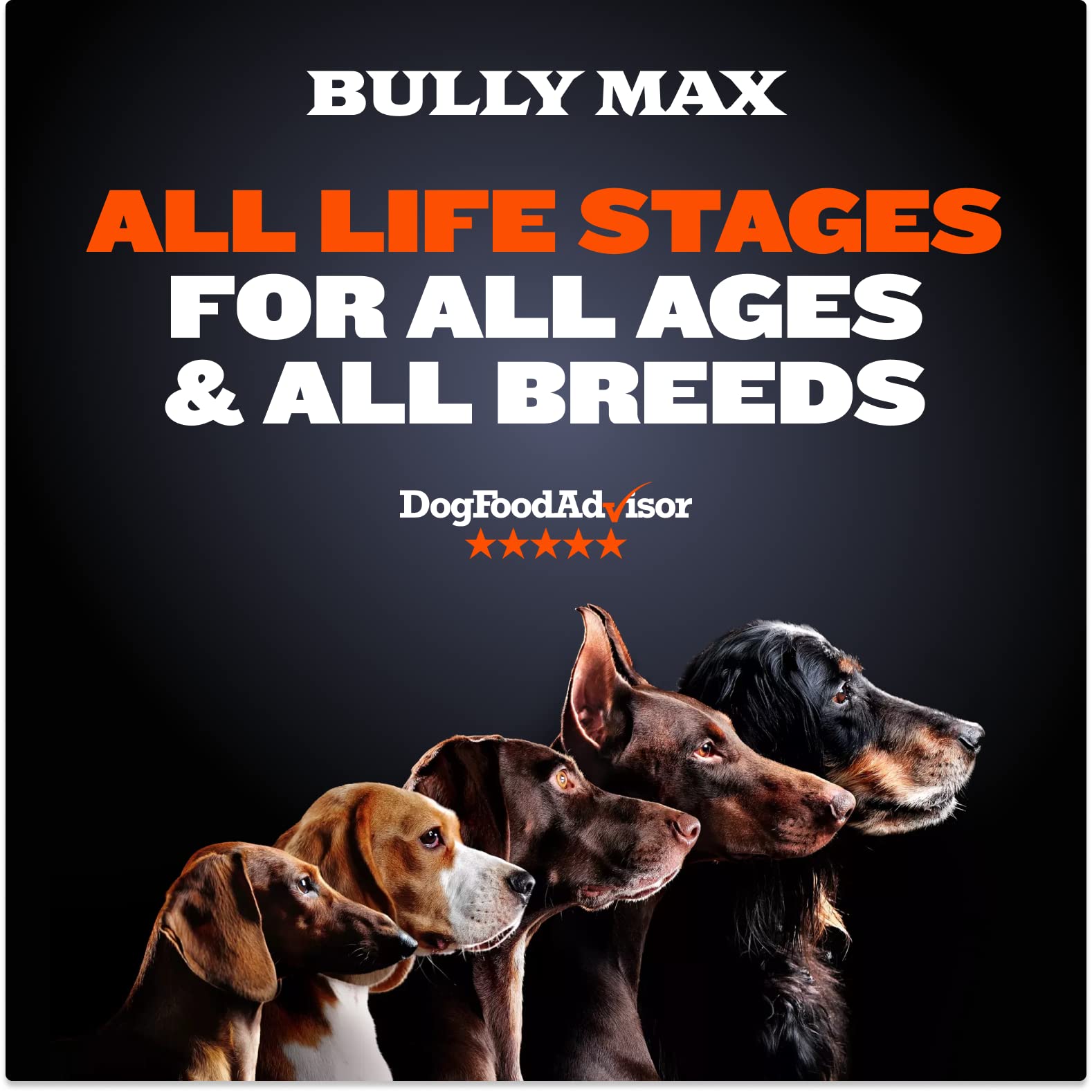 Coupon Code For Bully Max at Juanita Davis blog