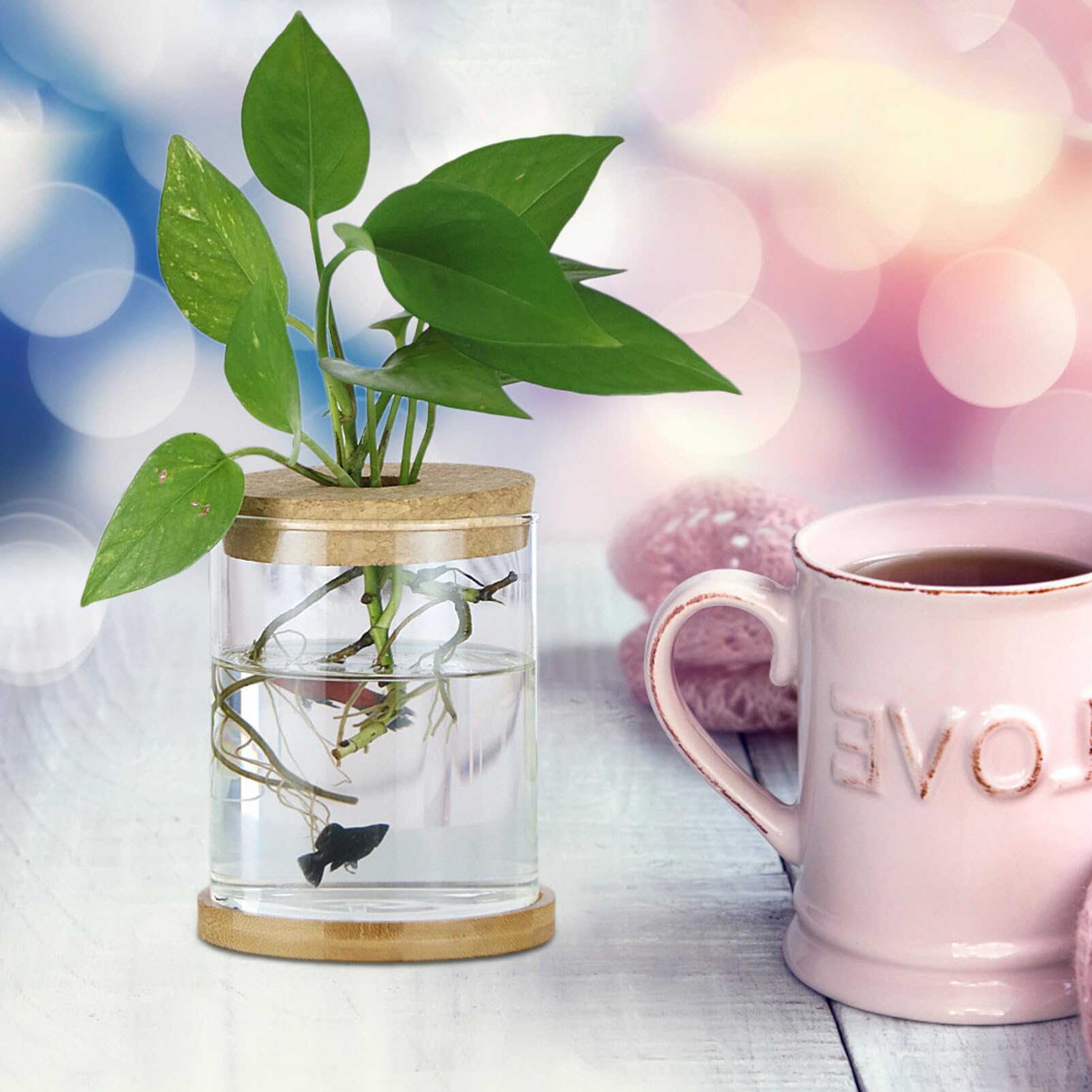 4 Coperchi In Sughero Per Vasi Idroponici - Foro Centrale, Ø 10 Cm - Per Coltivazione In Bottiglia - Foto 13