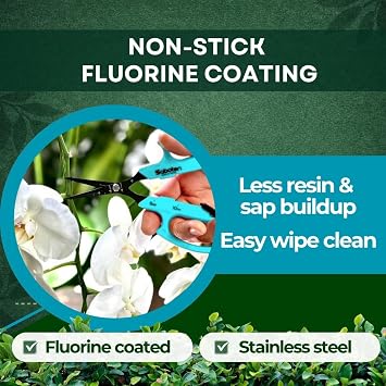 Saboten Japanese Harvesting Shears, Magnetic Springless, Fine-Tip Angled Blade, Fluorine-Coated Steel, Non-Slip Grip, Safety Lock, Made in Japan (Turquoise)