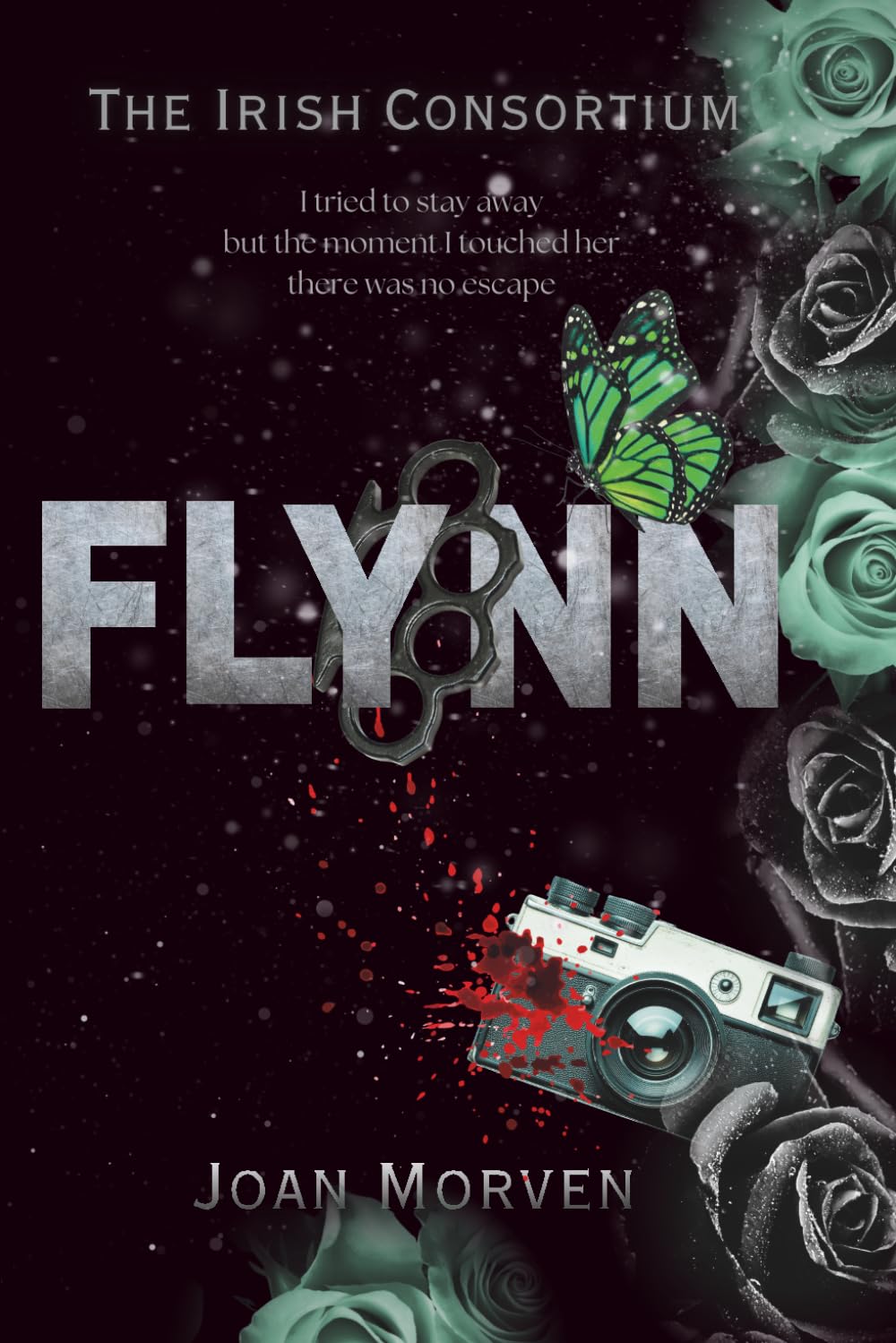 Flynn: An Irish Mafia Dark Romance (Discreet Cover) (The Irish Consortium (Discreet Covers))