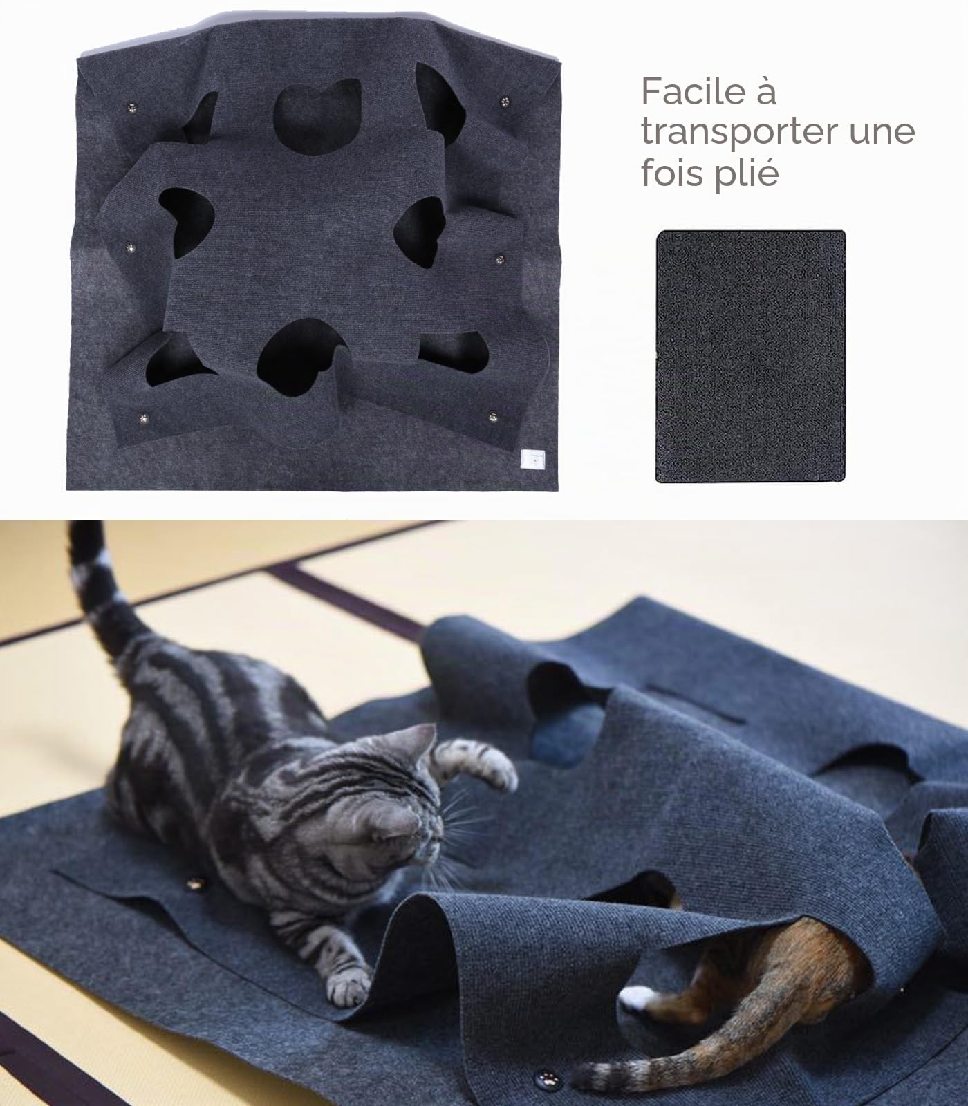 Tapis de jeu pour chat, tapis de jeu pliable pour chat, tapis interactif amusant pour animaux de compagnie, lit de toilettage à gratter