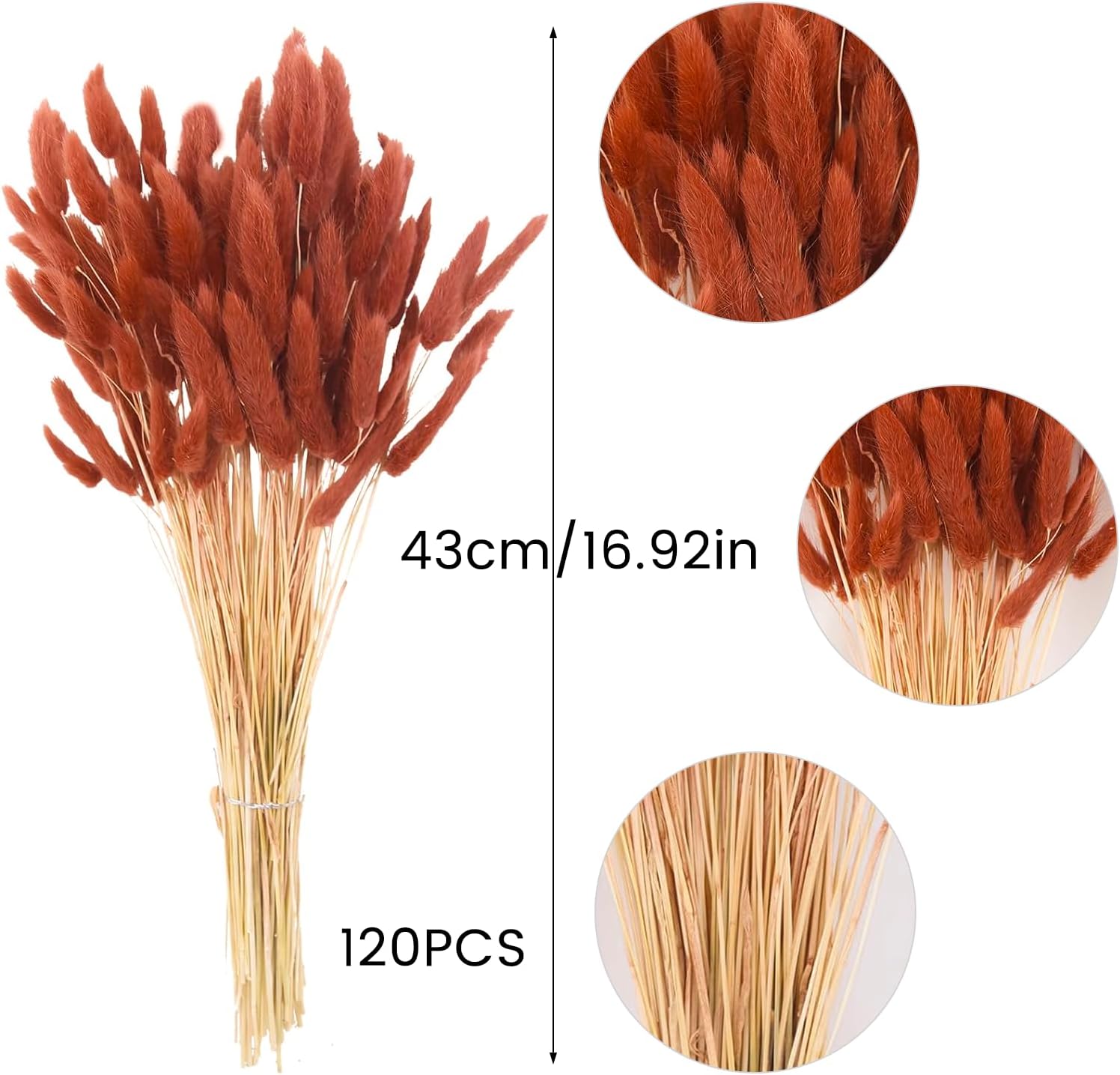 120pcs Burnt Orange Bunny Tails Dried Flowers,17" Dried Faux Pampas Grass Bulk Decor Fall Pampas Dried Boho Flowers Lagurus Ovatus Rabbit Bunny Tail Grass for Home Wedding Decor Crafts thumbnail