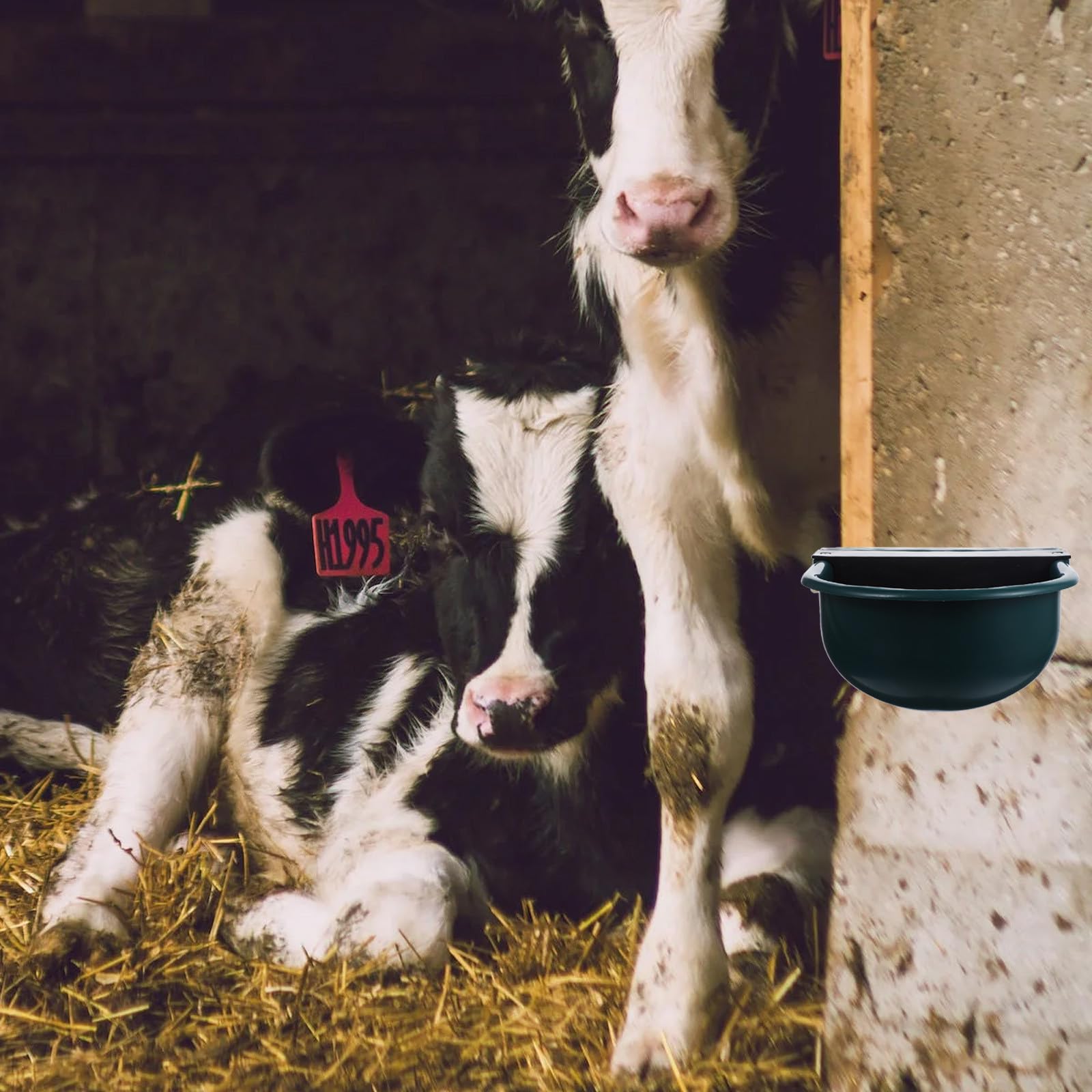 Abreuvoir à Vaches Automatique, Plastique Bleu, Niveau Constant