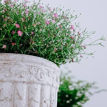 Amazon.co.jp: プランター アンティーク調 大型 おしゃれ 装飾用