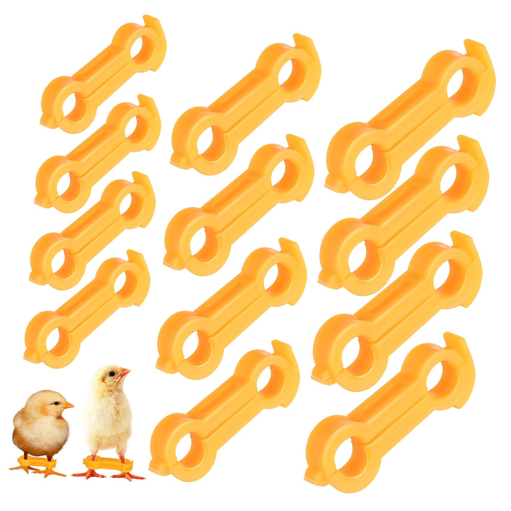 Anillo de Pollo Corrector de Patas para Pollitos, 12 Piezas | Pvc Amarillo, Orificios de 4, 5 y 6mm, Ajuste Seguro y Estable para Aves Pequeñas