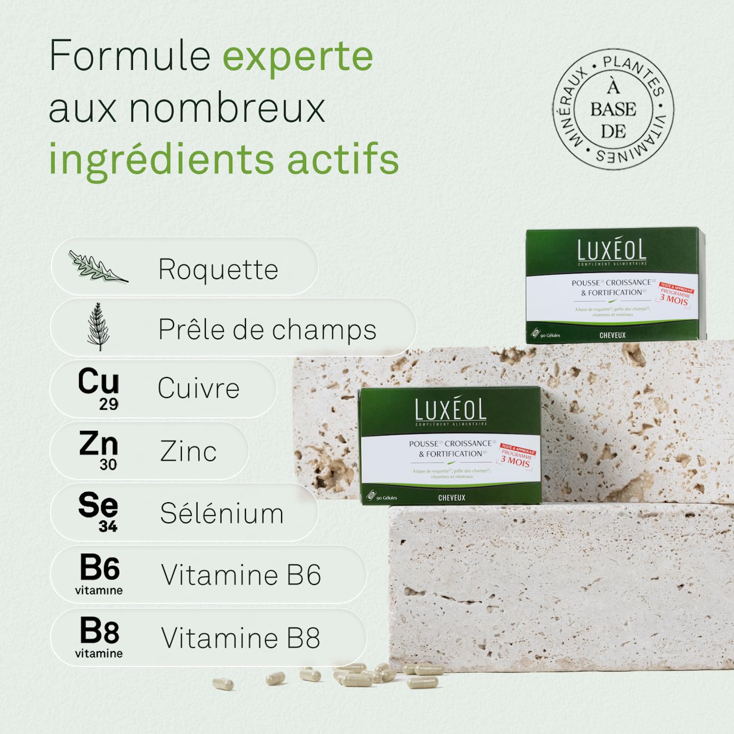 LUXEOL - Routine Densité In & Out - Complément Alimentaire + Shampooing, Après-Shampooing & Sérum Densité - Cheveux Plus Épais et Volumineux - Fabriqué en France