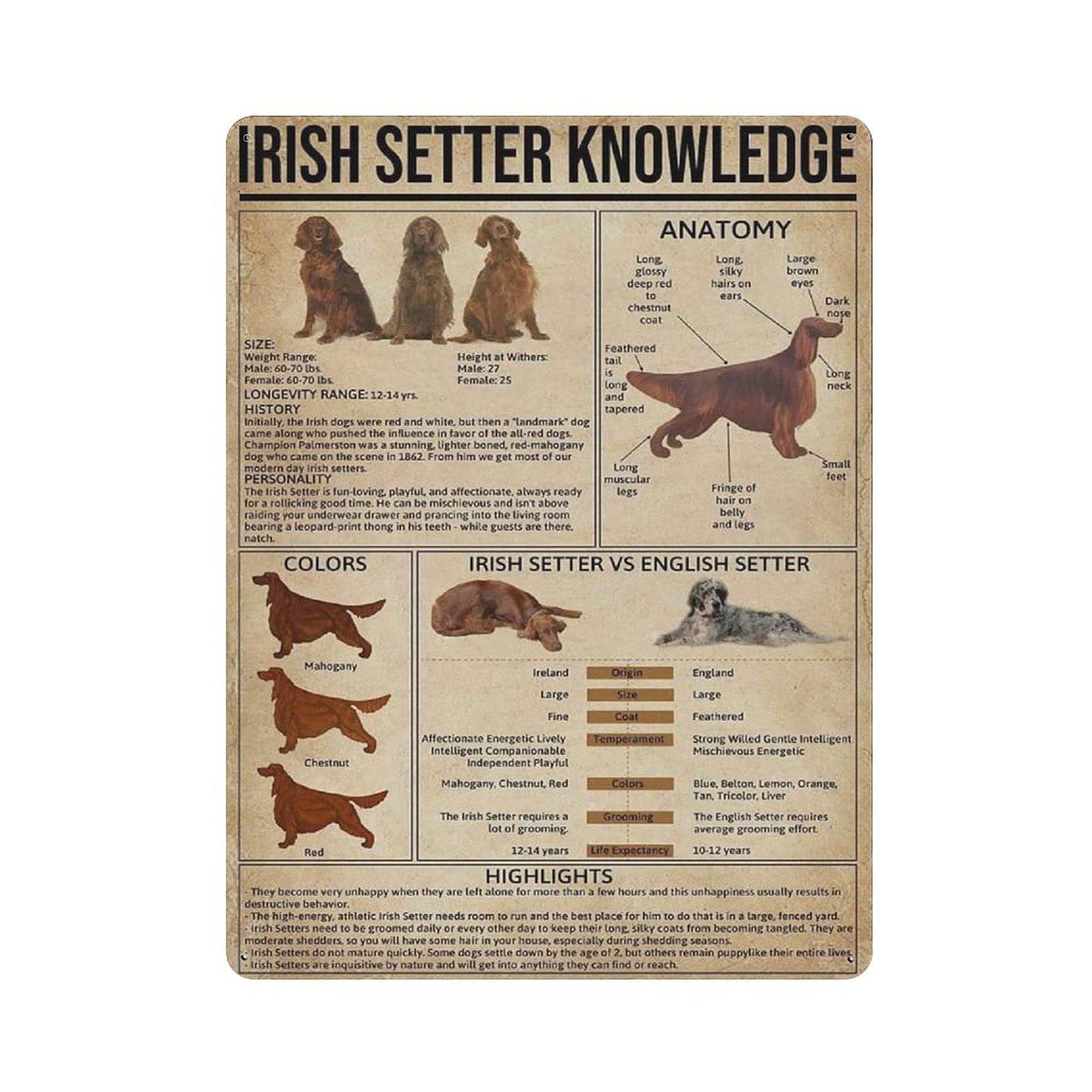 Irish Setter Knowledge Metal Tin Sign Artwork Poster Outdoor Sign Vintage Decor Plaque Poster Cave Garage Pub Bar Kitchen Home Decoration 16"x12"