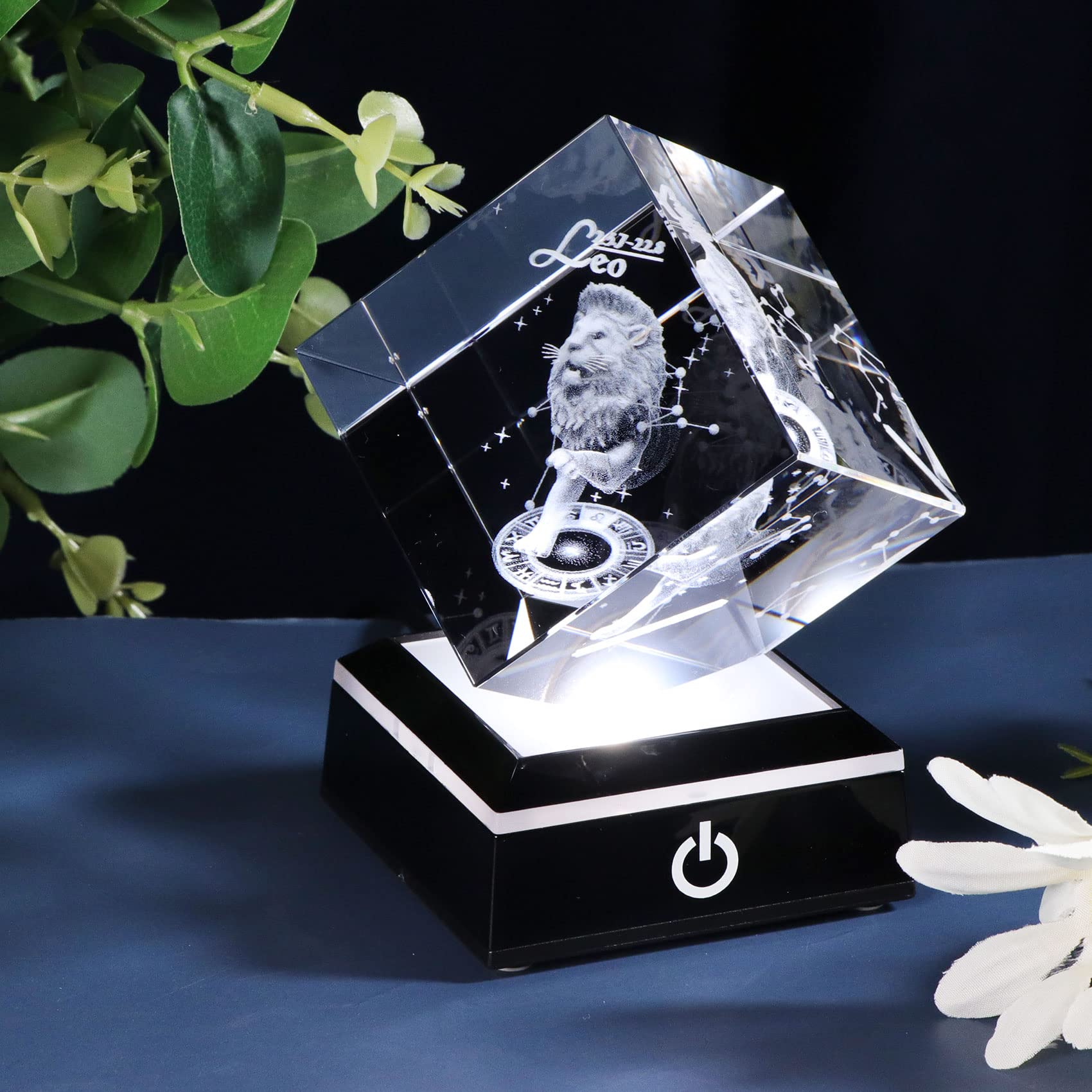 Amazon.co.jp: 3D クリスタル 獅子座 星座 星座 女性 メンズ