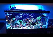 Review Image by Charles Z Charles Z