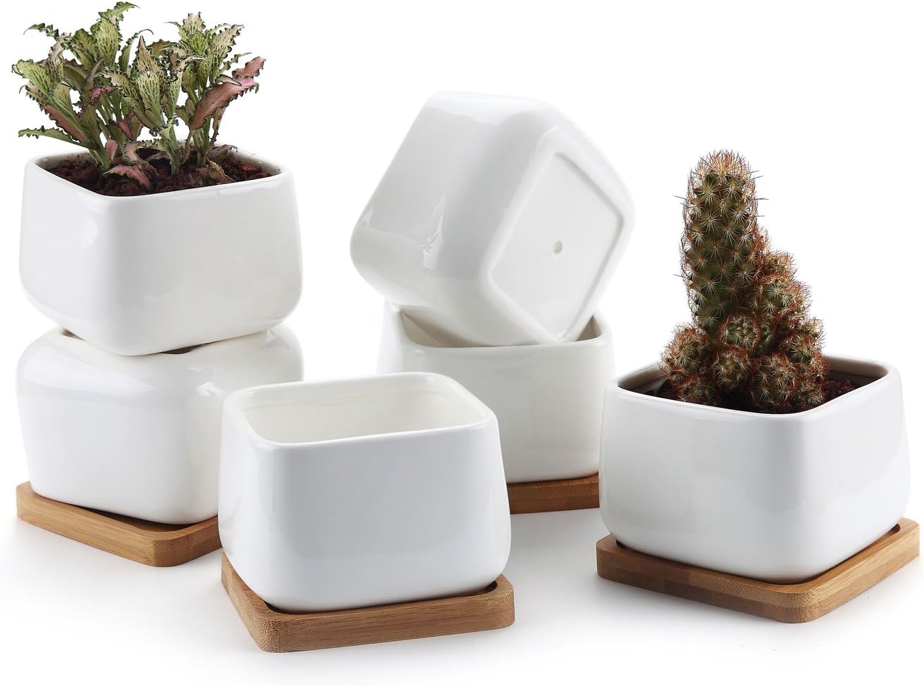 vassoio di scarico per piante